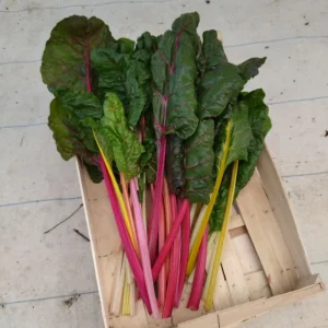 Poirées de couleur 1kg