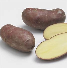 Pomme de terre