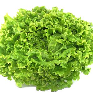Salade (la pièce)