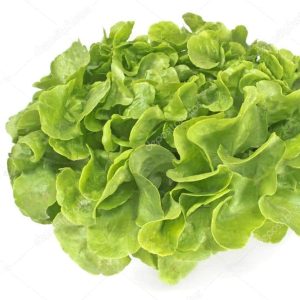 Feuille de chêne