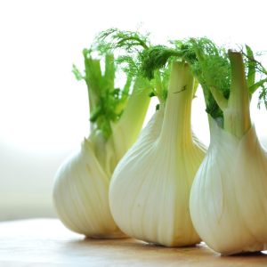 Fenouil ITALIE