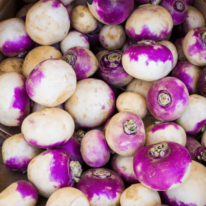 Navet Violet de Provence