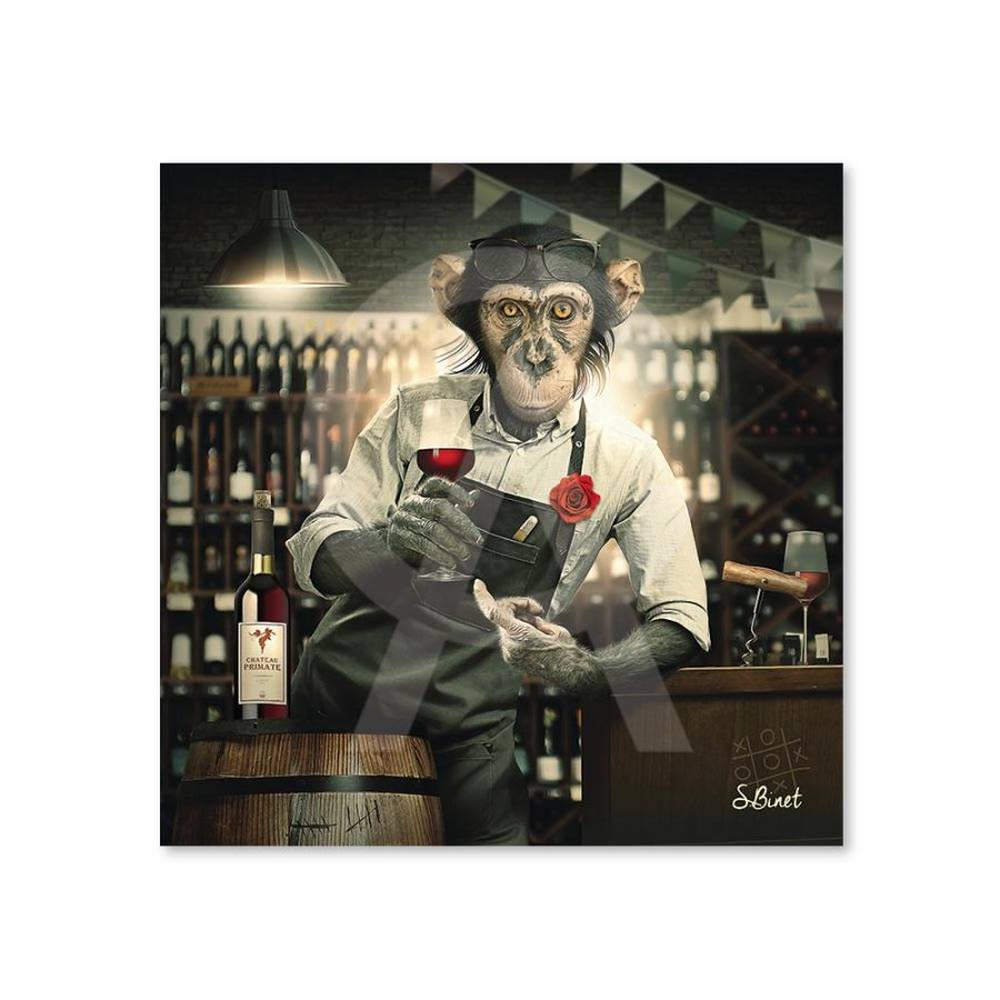 Tableau Alu Dibond Sylvain Binet Singe Caviste 20x20cm